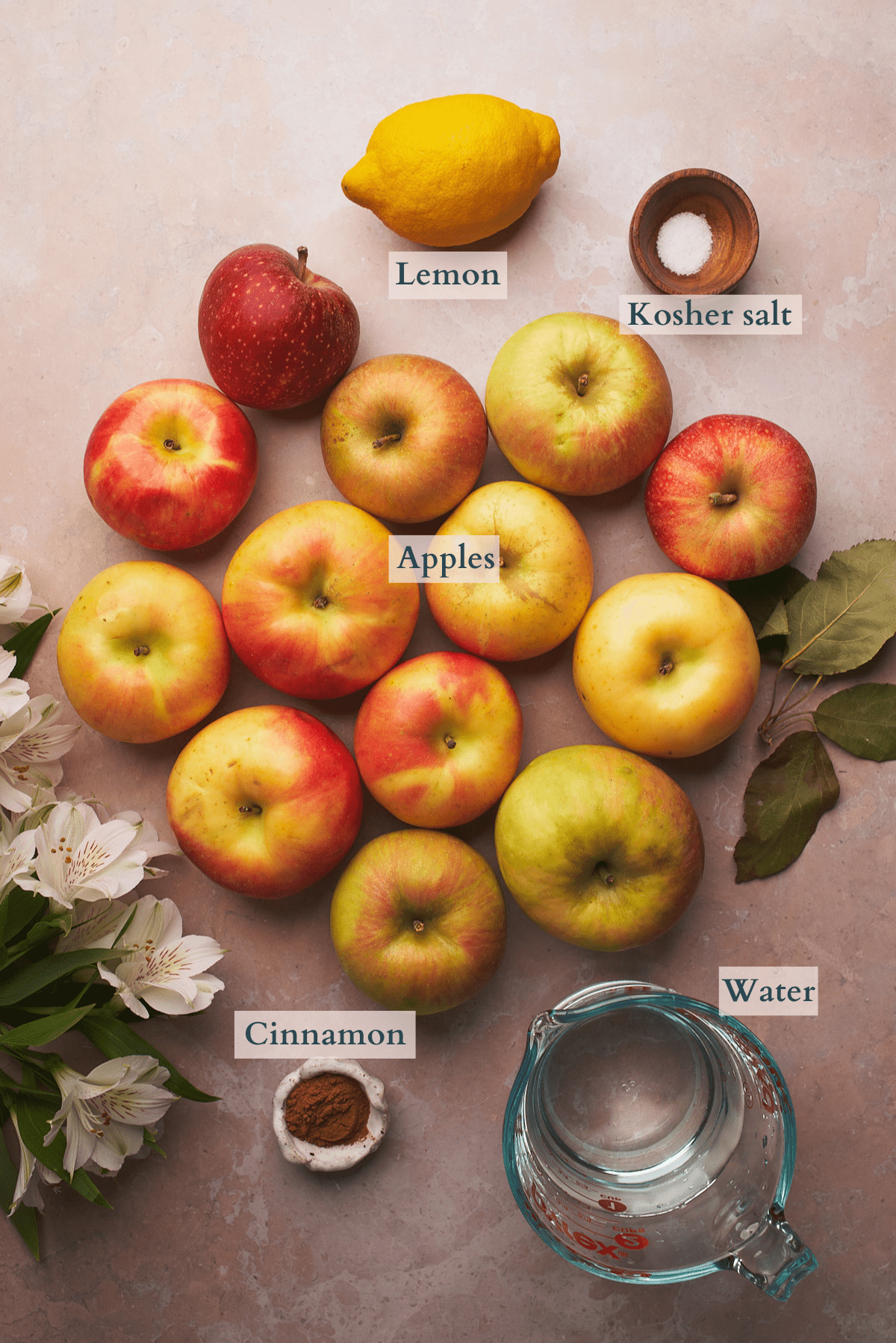 ingredients to make unsweetened applesauce with text denoting each ingredient, including apples, water, cinnamon, salt, and lemon. 