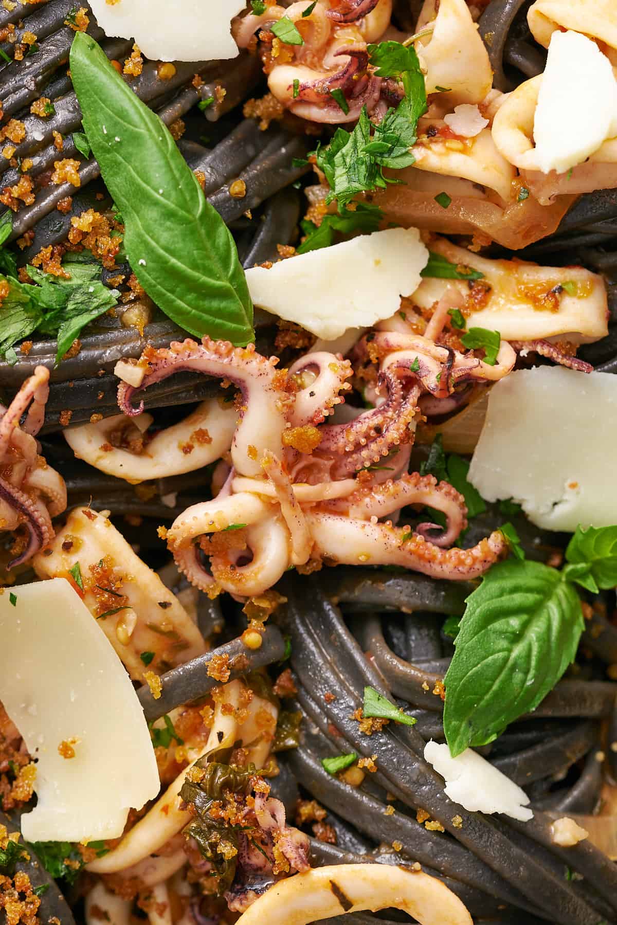 close up shot of squid ink pasta with squid tentacles and rings, fresh basil, and parmesan cheese flakes. 