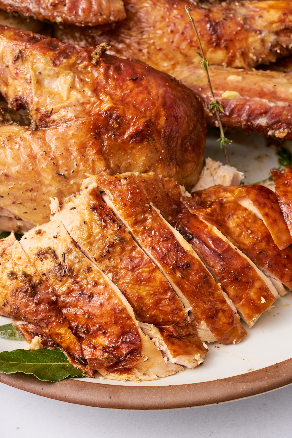 perfectly seasoned crispy skin turkey, sliced up on a plate and ready to serve.