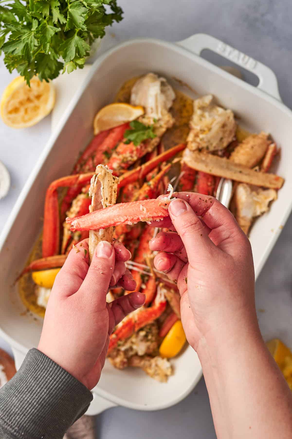 Hand holding a piece of snow crab leg meat pulled from the shell.
