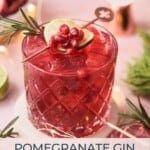 pomegranate gin cocktail
