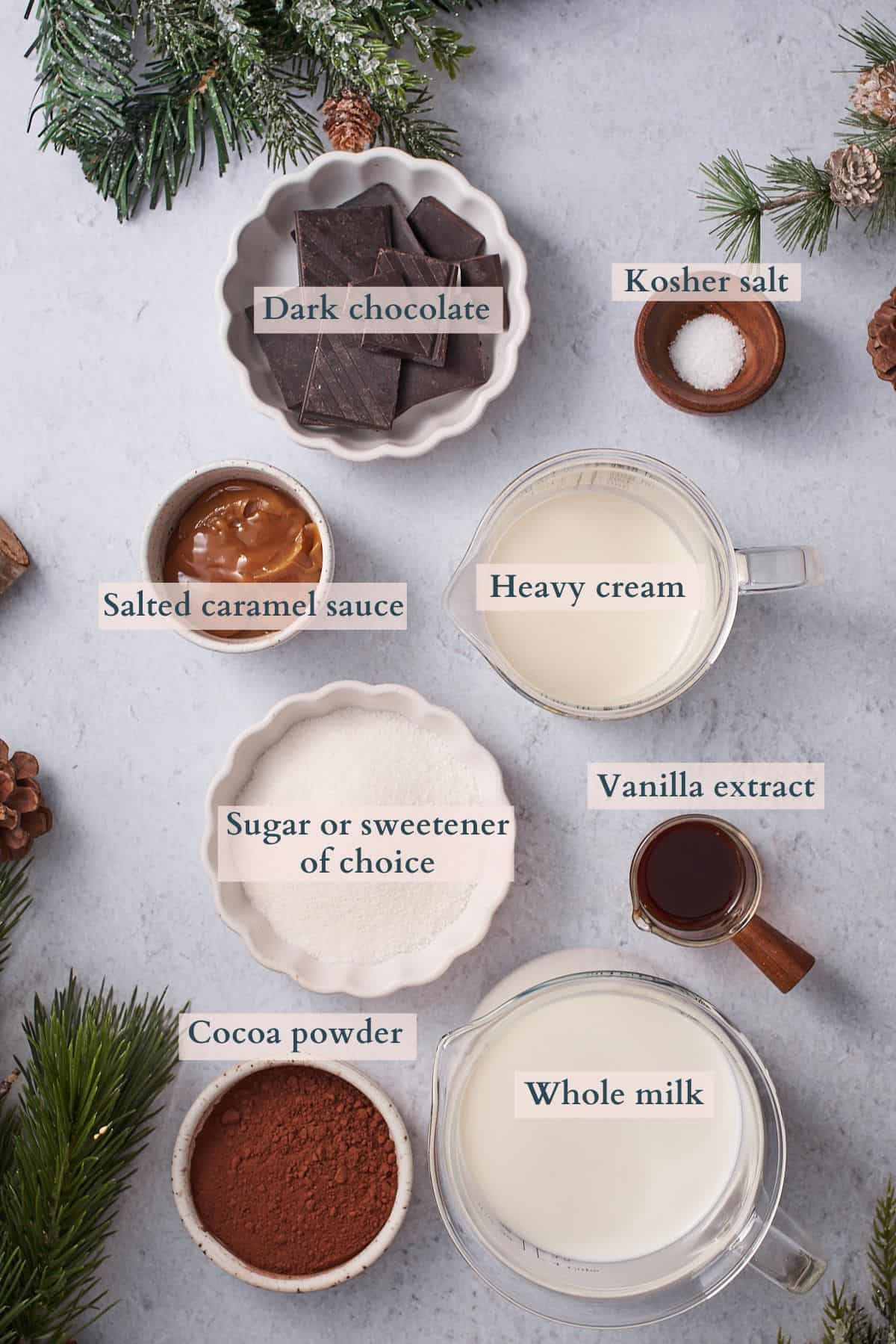 salted caramel hot cocoa ingredients with text overlaying to denote each ingredient. 