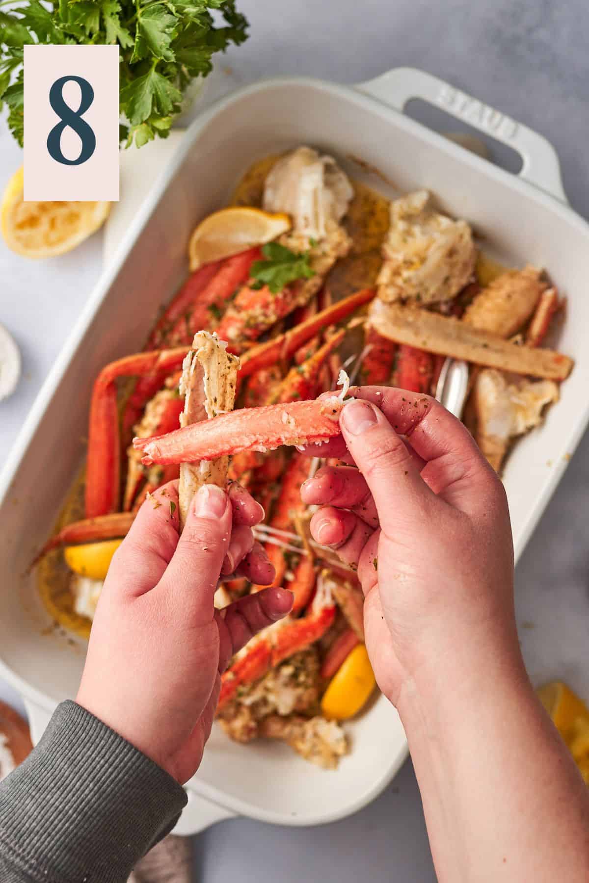 hand holding a snow crab leg pulled from the shell. 