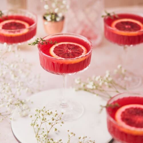 blood orange gin cocktail