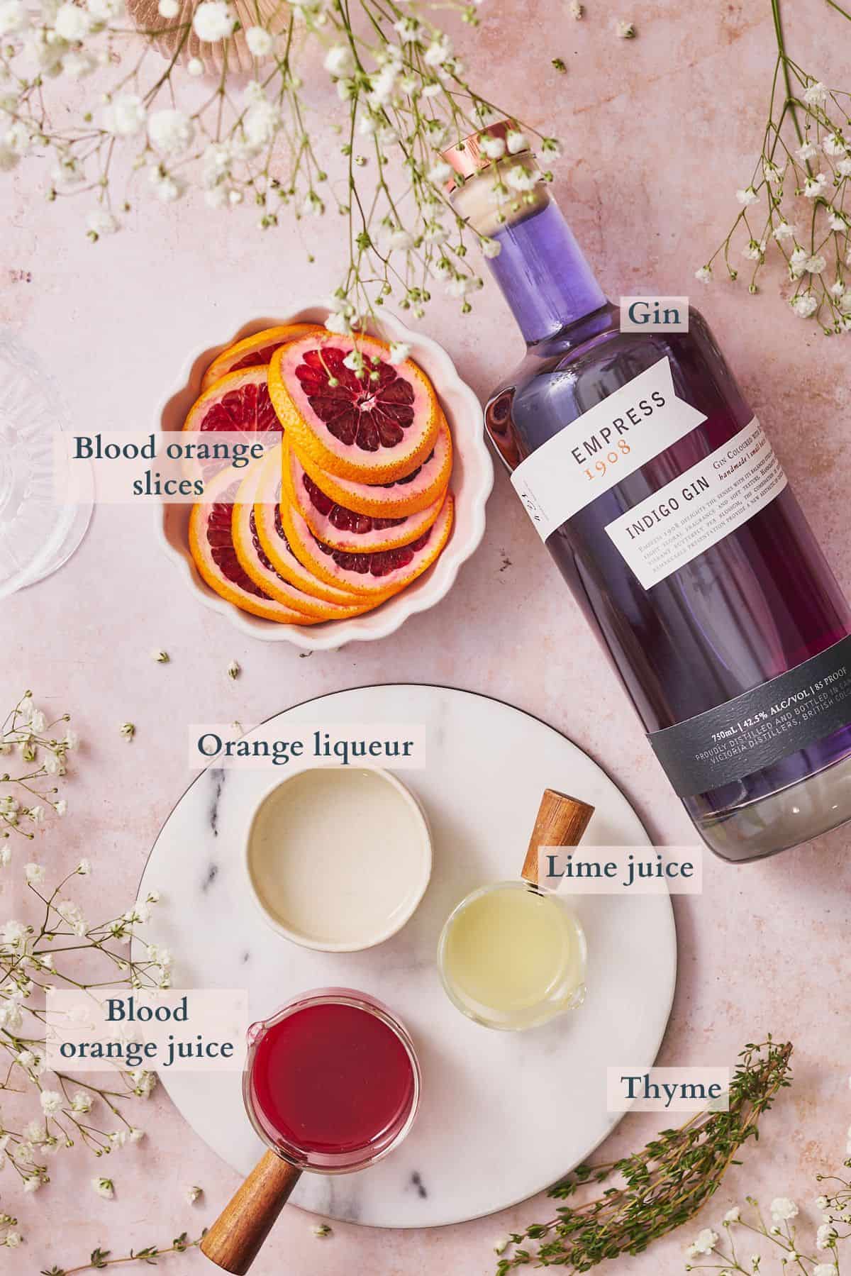 blood orange gin cocktail ingredients graphic with text overlaying to denote each ingredient.
