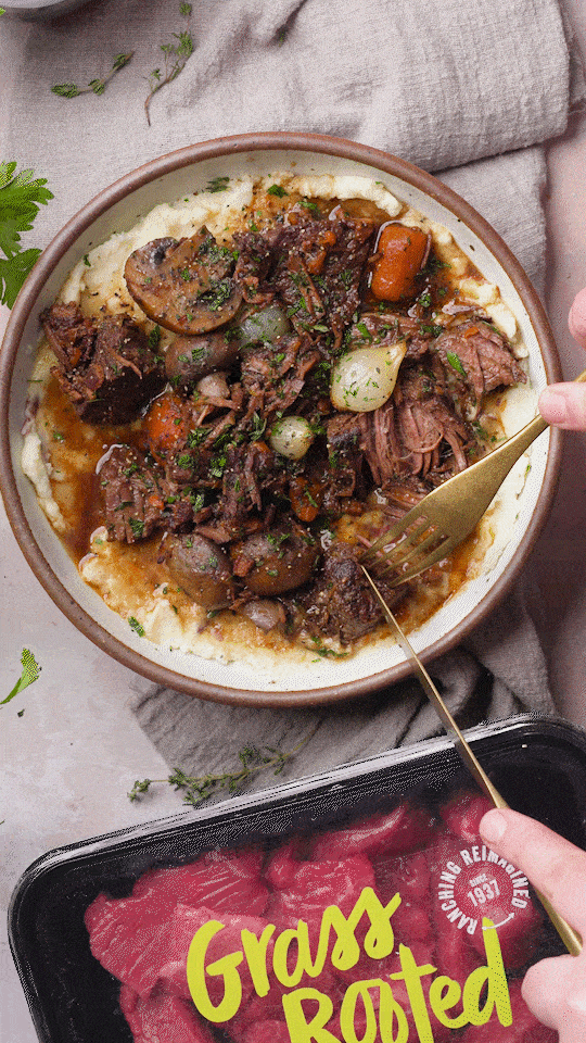 Pulling tenderized beef bourguignon with a fork in a bowl of mashed potates.