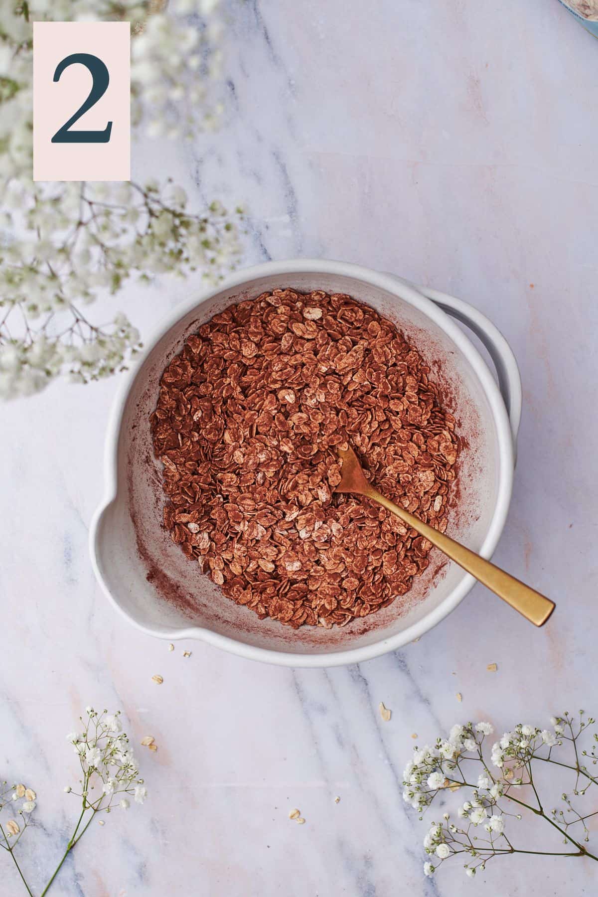 oats with cocoa powder in a bowl combined with a gold spoon. 
