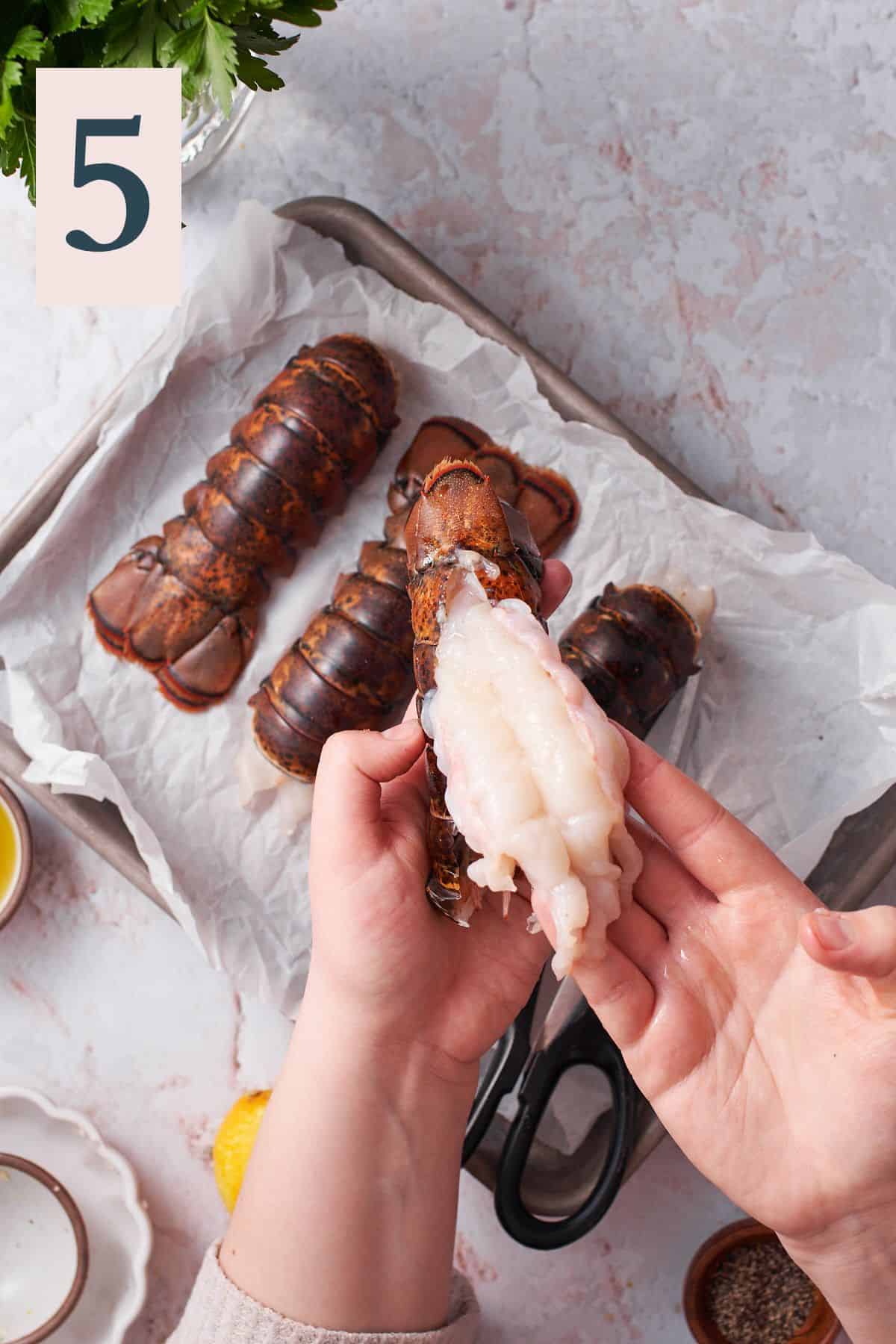 hand pulling lobster tail meat from a shell. 