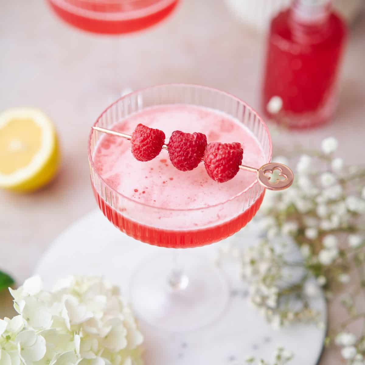 Raspberry Martini Recipe — A Full Living