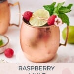 Raspberry mule