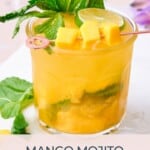 Mango Mojito closeup with fresh garnishes, stunning color, and refreshing elements.