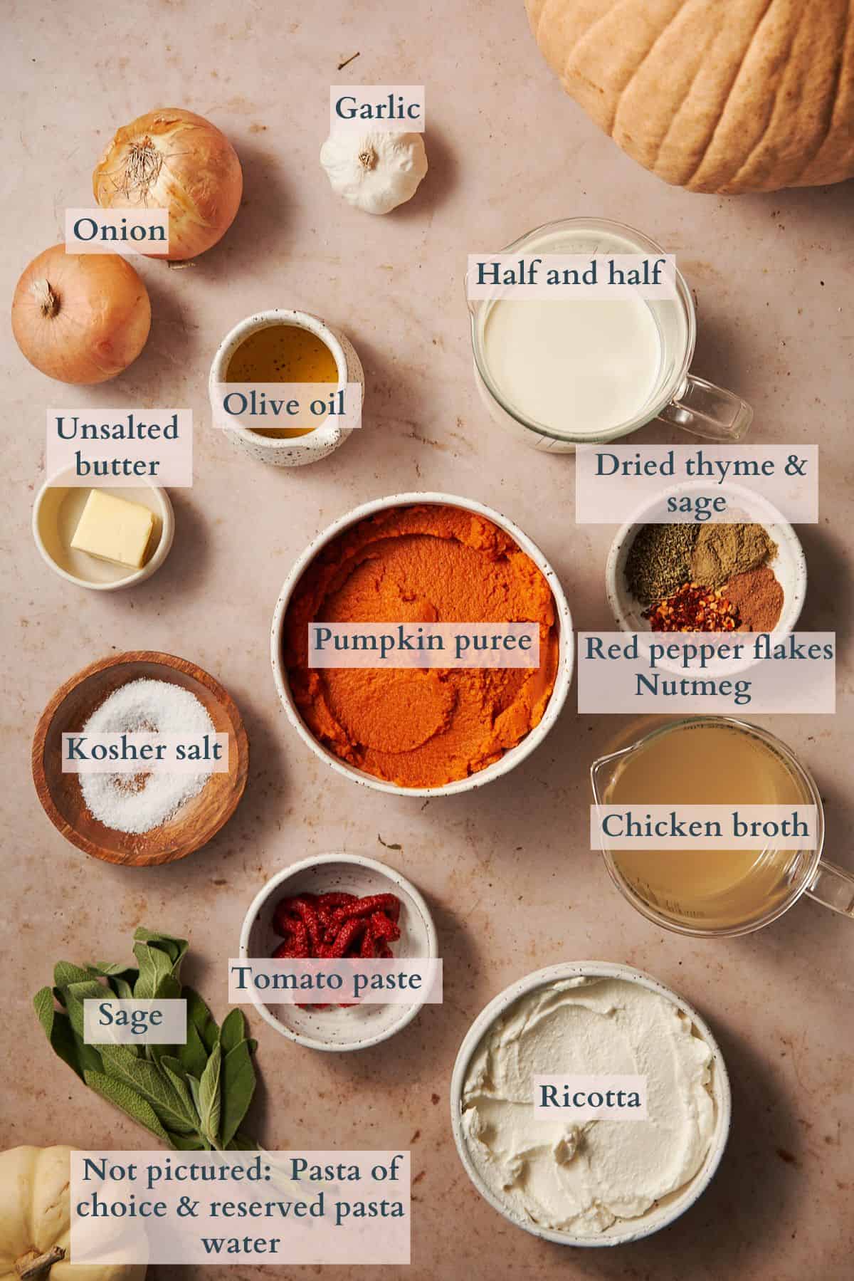 Ingredients to make pumpkin pasta sauce laid out on a table in small bowls and containers labeled to denote each ingredient.