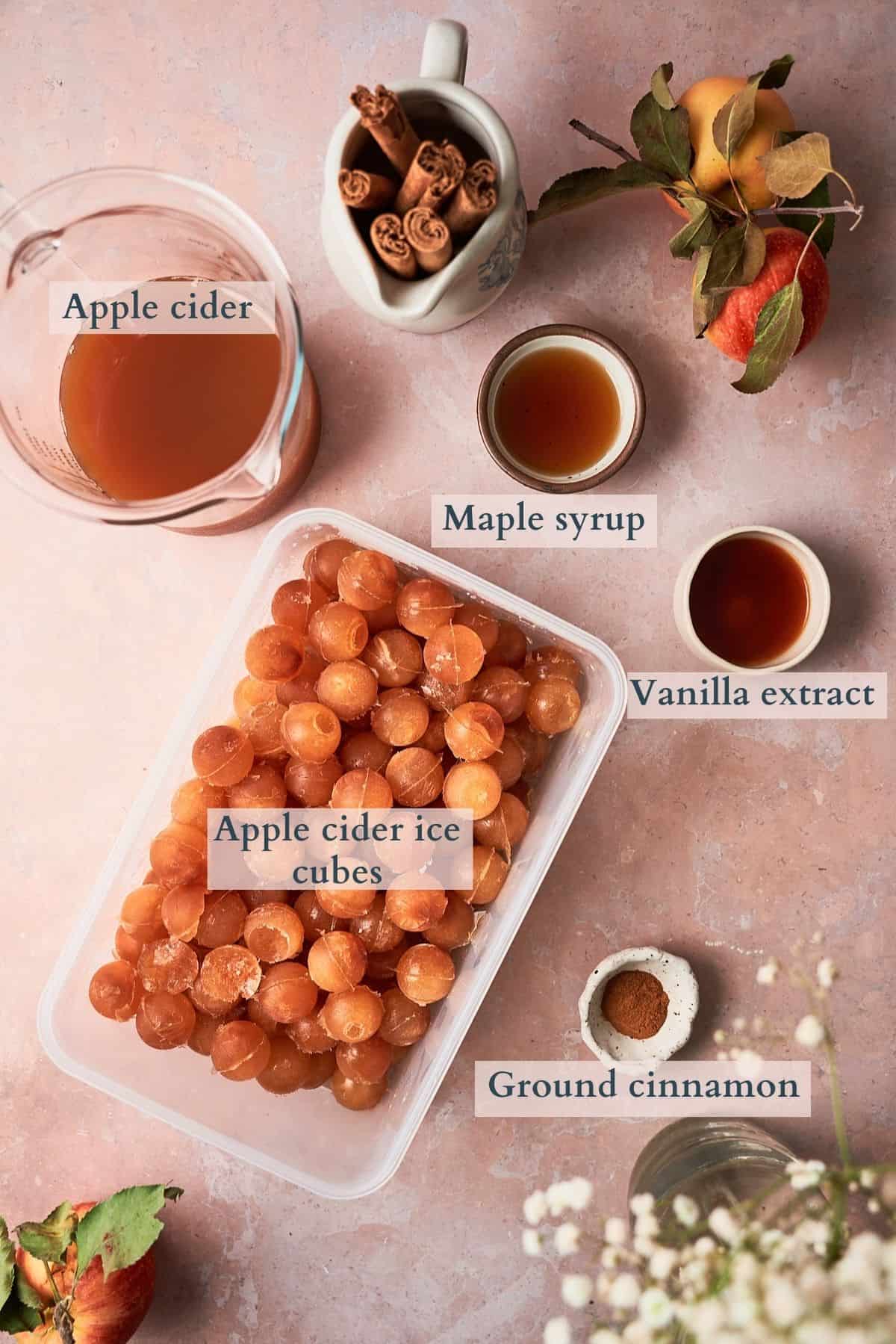 Ingredients to make an apple cider slushie laid out on a table and labeled to denote each ingredient. 