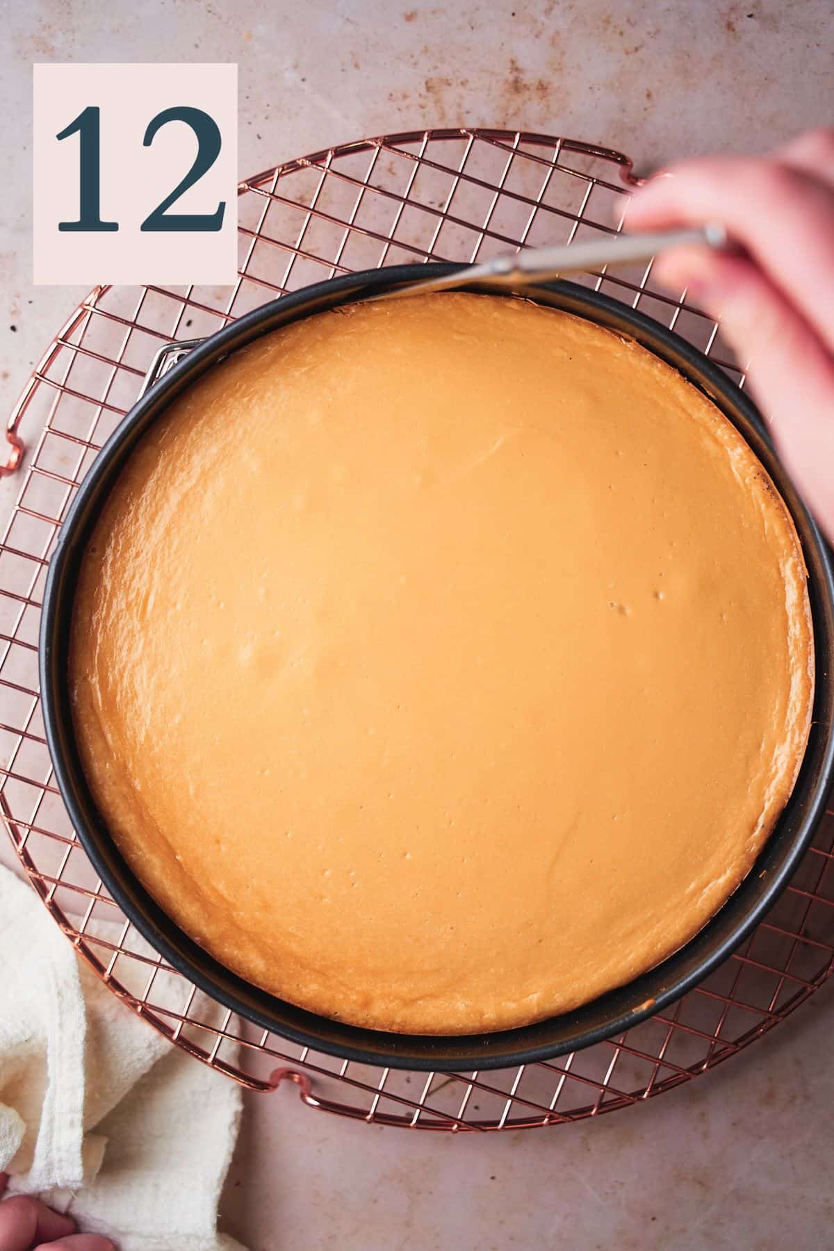 hand taking a butter knife and running it along the edge of a springform pan with a caramel cheesecake inside.