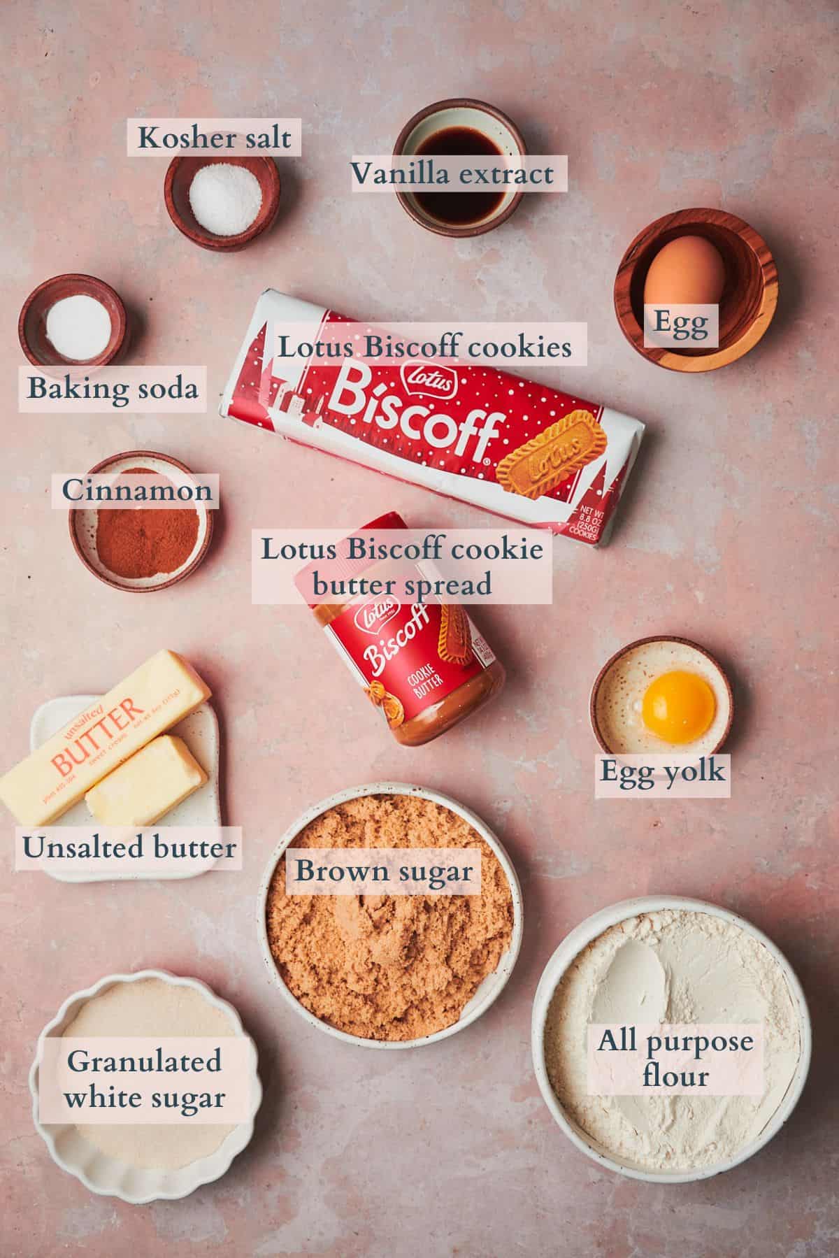 Ingredients to make Biscoff butter cookies laid out on a table in small bowls and labeled to denote each ingredient.