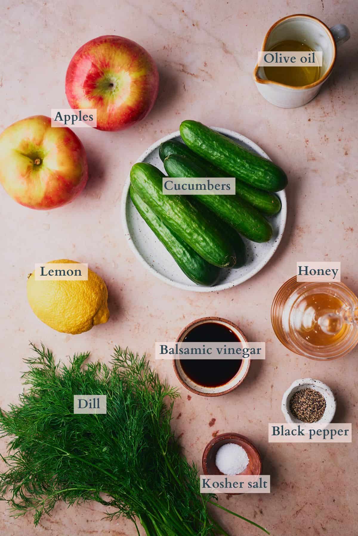 Ingredients to make apple and cucumber salad laid out on a table and labeled to denote each ingredient. 