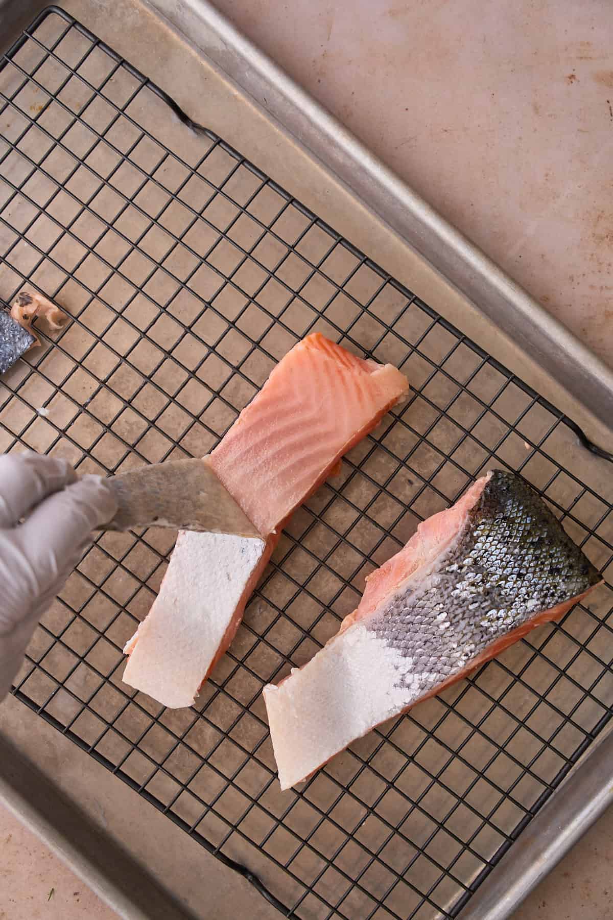 Hand wearing latex gloves gently wiggling the salmon skin loose from the filet. 