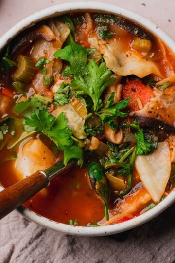 Spicy Vegetable Soup.