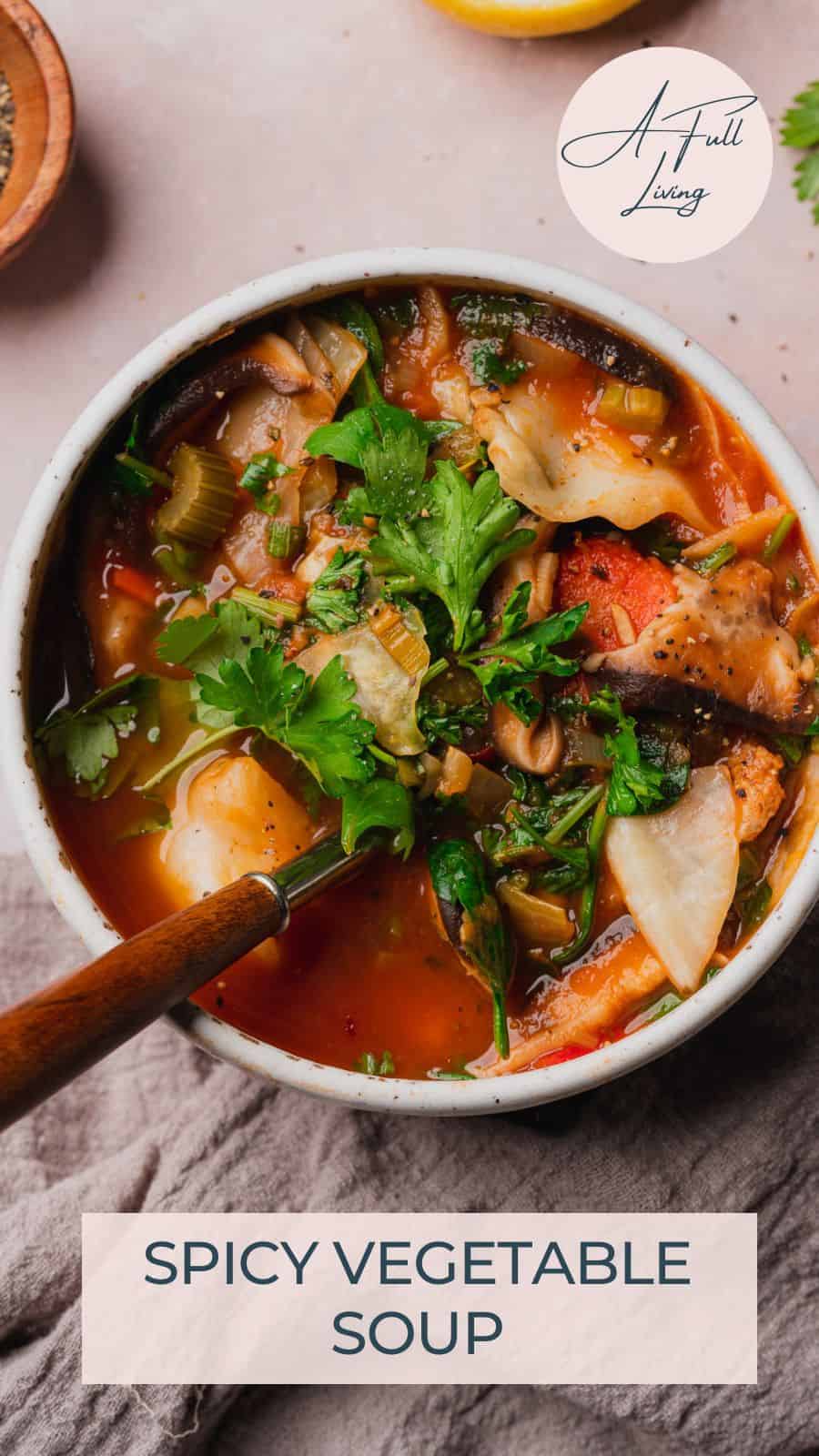 Spicy Vegetable Soup.