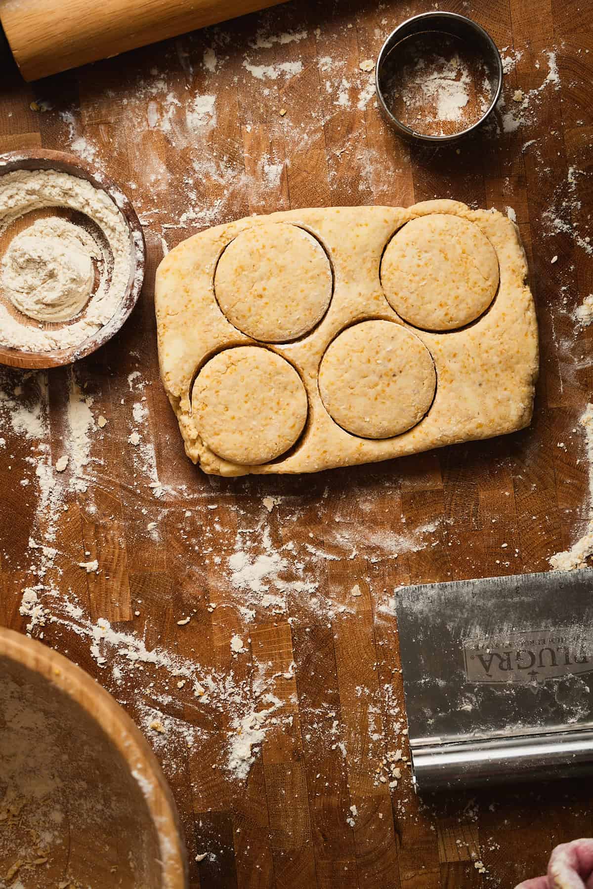 Cornmeal biscuit dough with round pieces cut out from the dough on floured wooden surface.