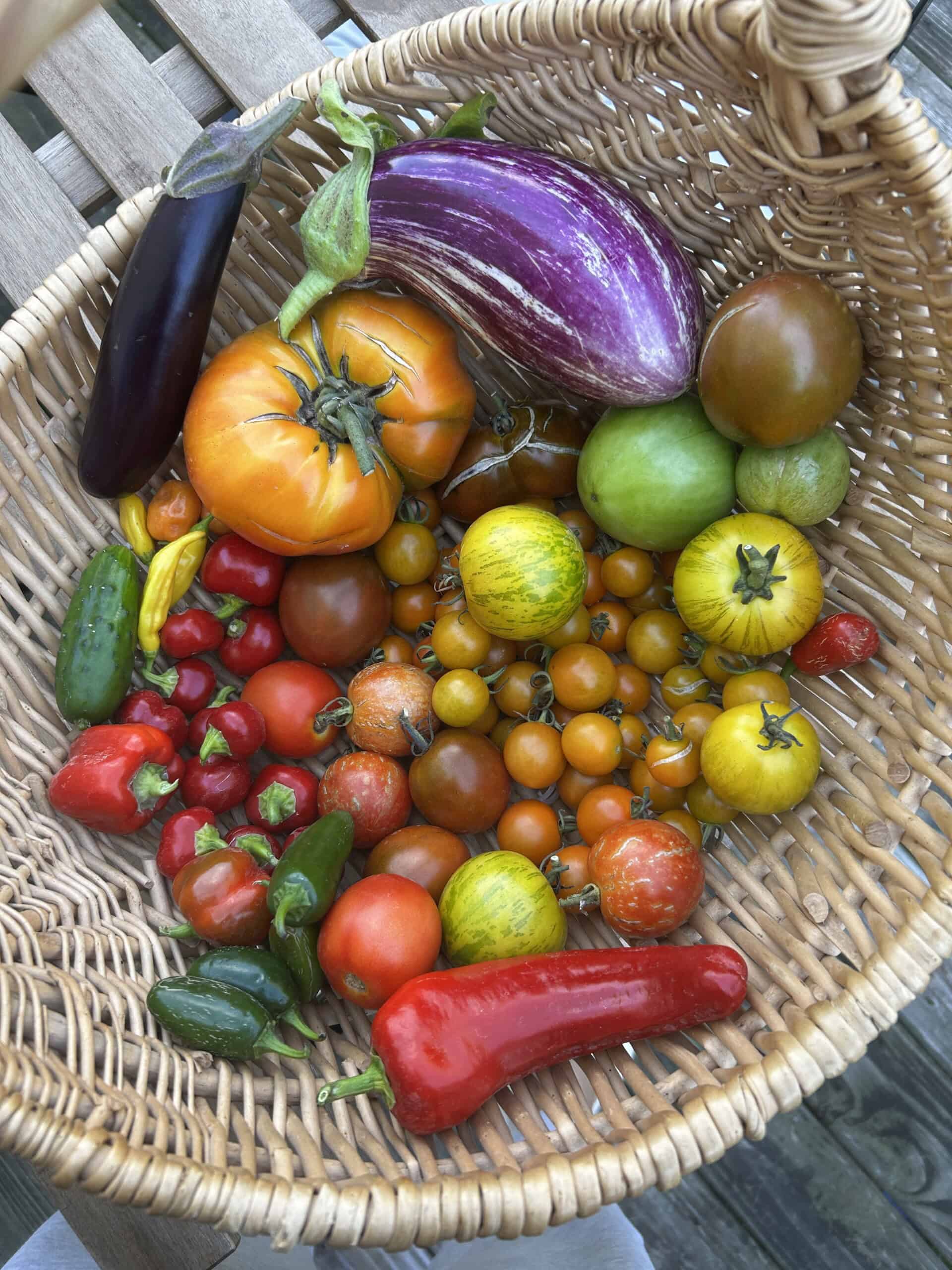 Harvest basket with colorful homegrown produce.