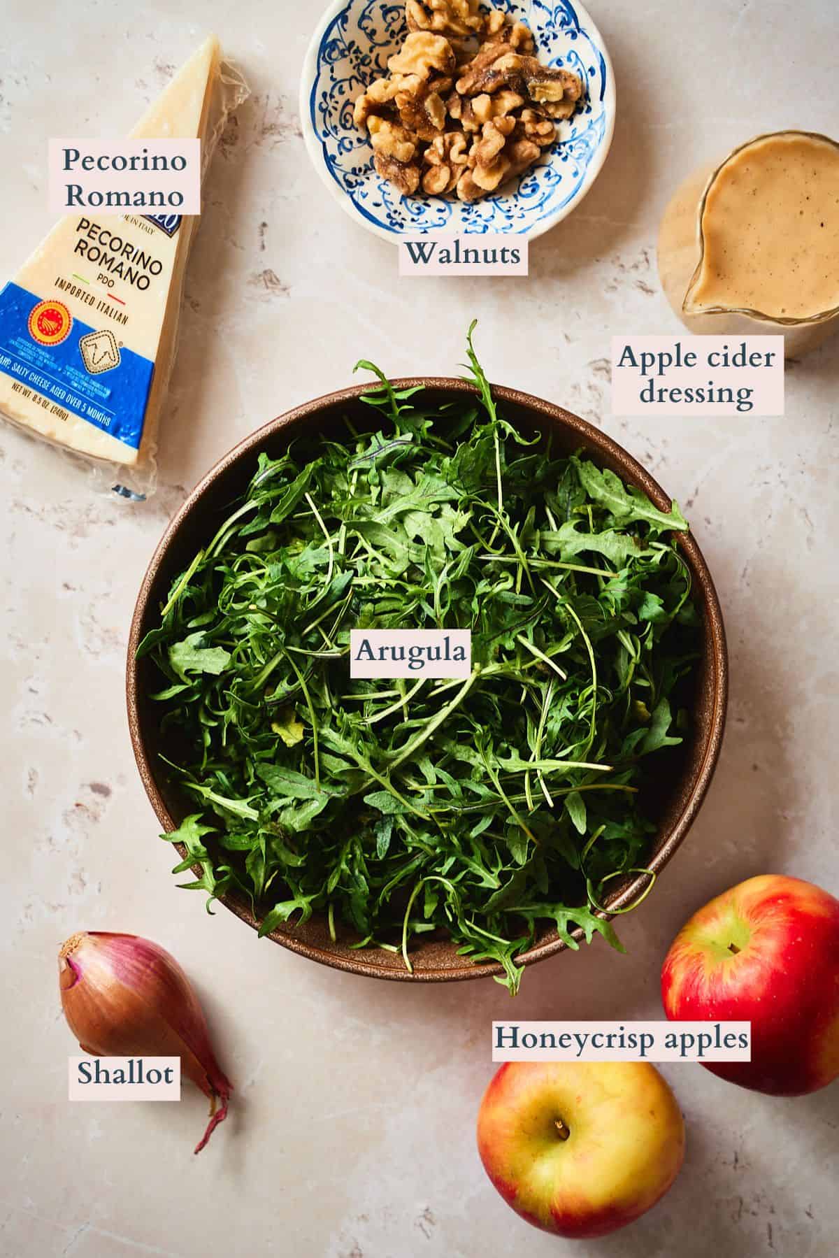 Ingredients to make an apple arugula salad laid out on a table and labeled to denote each ingredient.